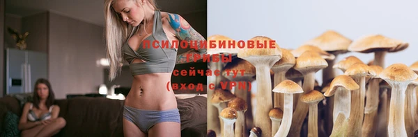 прущие крисы Новокубанск