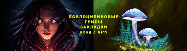 первитин Нея
