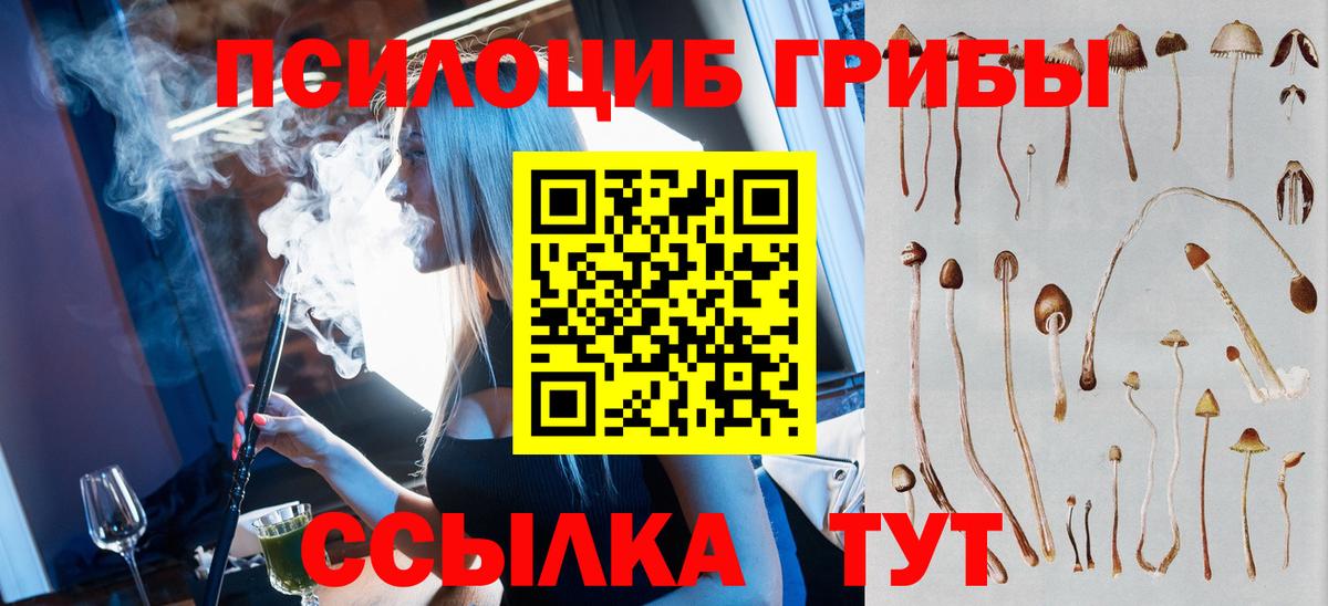 Псилоцибиновые грибы Cubensis Лосино-Петровский